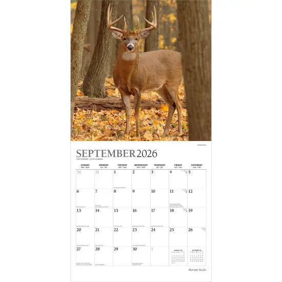Monster Bucks | 2026 12 x 24 Inch (Hanging) Monthly Square Wall Calendar | Foil Stamped Cover {4}