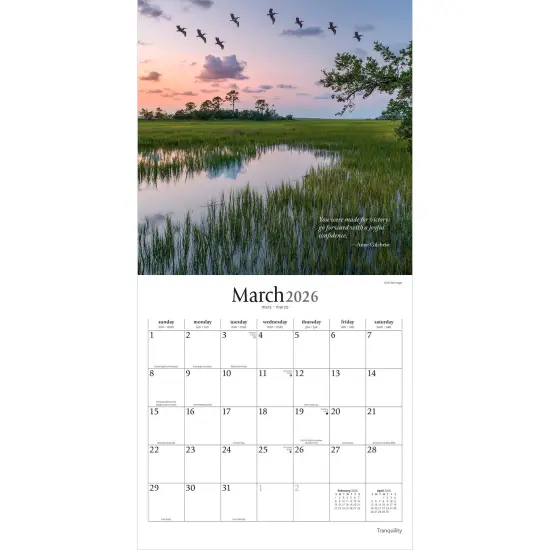 Tranquility | 2026 12 x 24 Inch (Hanging) Monthly Square Wall Calendar | Plastic-Free {3}