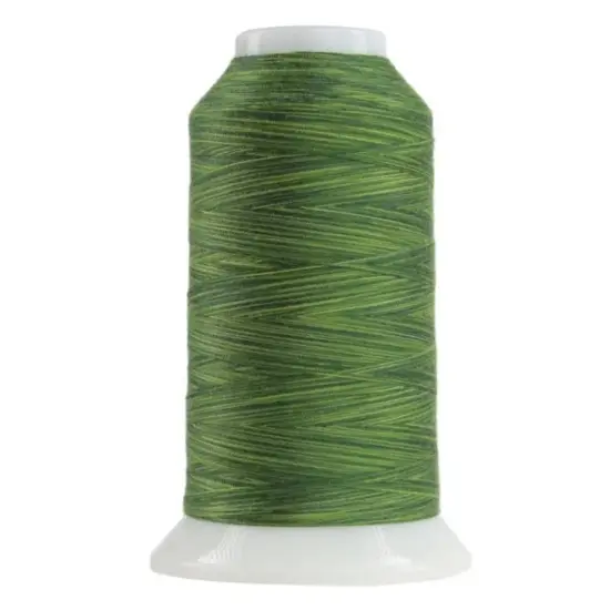 9054 Verdant Omni Variegated Polyester Thread {1}