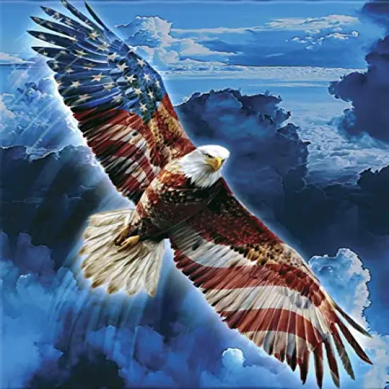 Eagle with Flag Edible Cake Topper {1}