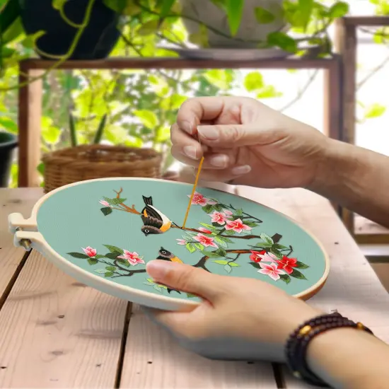 Embroidery Kit for Adult, Owl Embroidery Kit for Beginners Include Embroidery Cloth Hoops Threads for Craft Lover Hand Stitch with Embroidery Skill Techniques (Bird) {5}