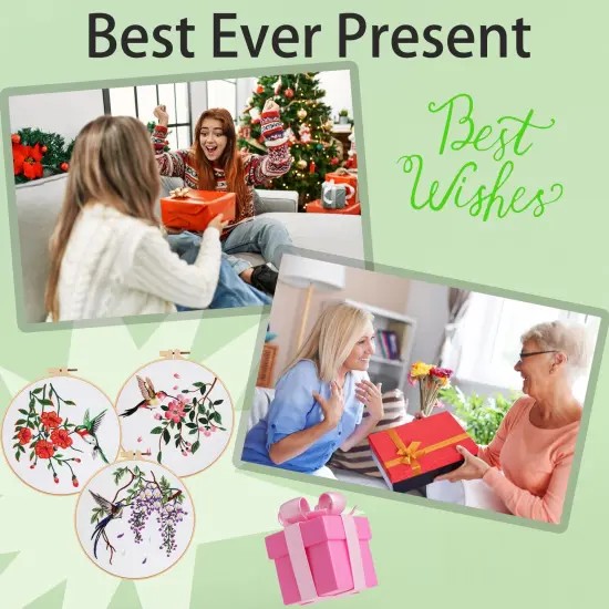 3 Sets Hummingbird Embroidery Kit for Beginners Needlepoint Kits for Adults Cross Stitch Kits with Clear Instructions,Easy Funny Stamped Bird Patterns Fabric Hand Crafts {2}