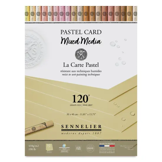 Sennelier La Carte Pastel Card Mixed Media Pad - Naples Yellow, 12" x 16", 190 lb, 12 Sheets {1}