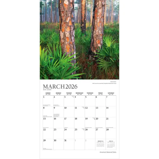 America's National Parks | 2026 12 x 24 Inch (Hanging) Monthly Square Wall Calendar | Foil Stamped Cover {3}