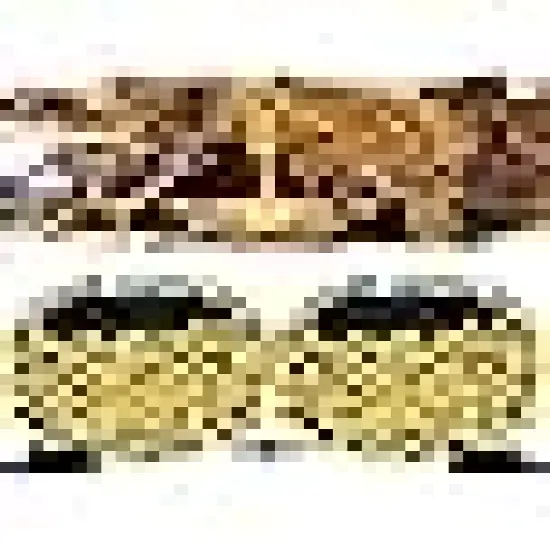 Christmas String Lights Green Wire {6}