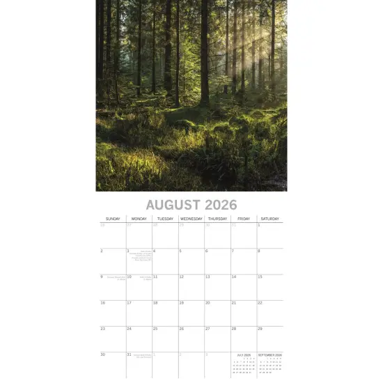 The Gifted Stationary 2026 Square Wall Calendar, Woodland Scenes, 16-Month Natural World Theme Hanging Calendar with 180 Reminder Stickers, Month Planner for Home, or Creative Spaces, 12x12 In Multicolor {3}