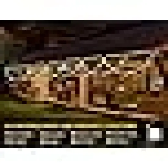 Christmas Lights Outdoor Indoor {5}