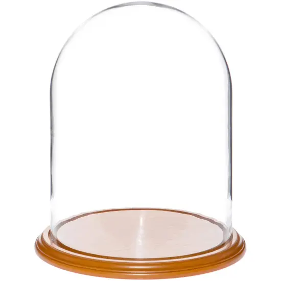 Plymor 11.75" x 15" Glass Display Dome Cloche Oak Veneer {1}