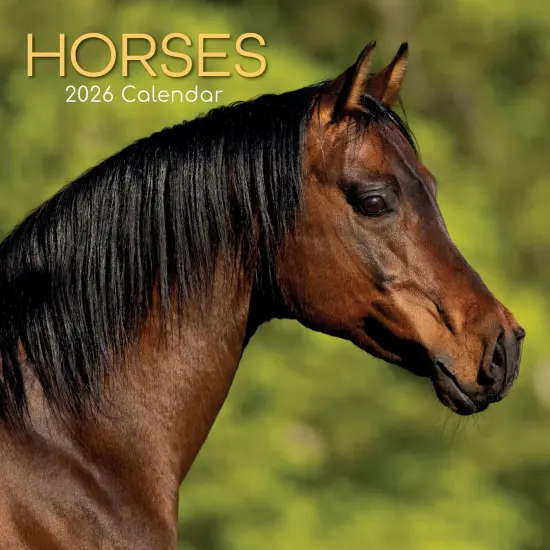 The Gifted Stationary 2026 Square Wall Calendar, Horses, 16-Month Animals Theme Hanging Calendar with 180 Reminder Stickers, Month Planner for Home, or Creative Spaces, 12x12 In Multicolor {1}