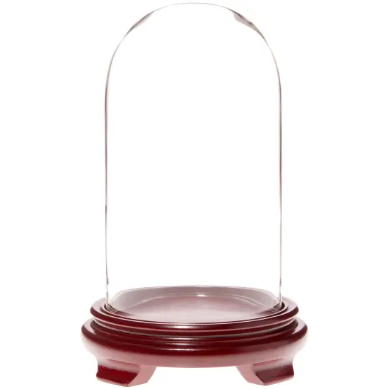 Plymor 4.5" x 8" Glass Display Dome Cloche Red Wood Veneer {1}
