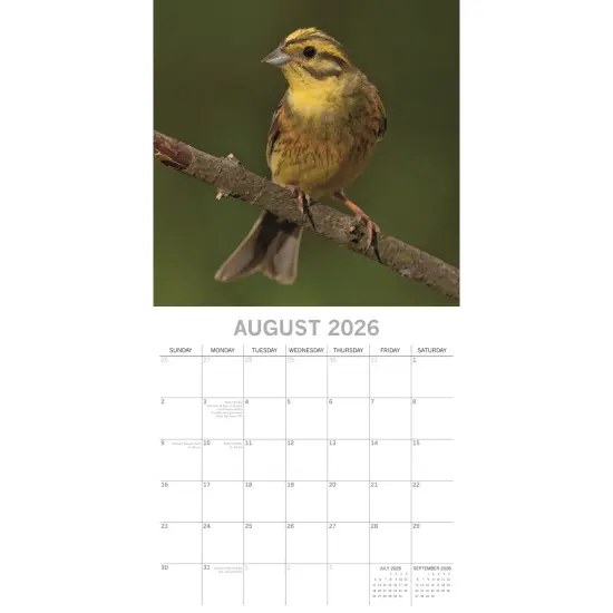 The Gifted Stationary 2026 Square Wall Calendar, Birds, 16-Month Animals Theme Hanging Calendar with 180 Reminder Stickers, Month Planner for Home, or Creative Spaces, 12x12 In Multicolor {3}