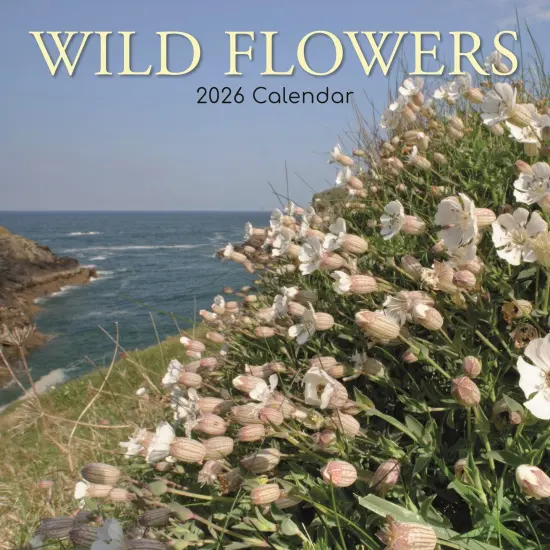 The Gifted Stationary 2026 Square Wall Calendar, Wild Flowers, 16-Month Floral Theme Hanging Calendar with 180 Reminder Stickers, Month Planner for Home and Creative Spaces, 12x12 In Multicolor {1}