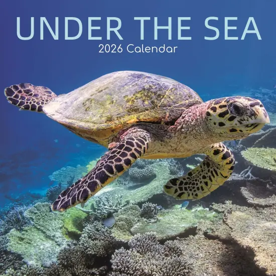 The Gifted Stationary 2026 Square Wall Calendar, Under the Sea, 16-Month Natural World Theme Hanging Calendar with 180 Reminder Stickers, Month Planner for Home, or Creative Spaces, 12x12 In Multicolor {1}