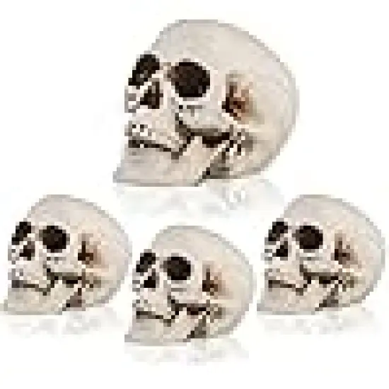 Skull Heads Halloween Decor Include Life Size Skeleton and Small Plastic Skulls {6}