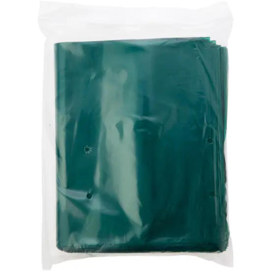 Plymor 8" x 10", Green 2 Mil Zipper Reclosable Plastic Bags {5}