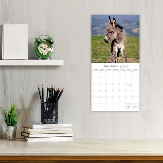 The Gifted Stationary 2026 Square Wall Calendar, Donkeys, 16-Month Animals Theme Hanging Calendar with 180 Reminder Stickers, Month Planner for Home, or Creative Spaces, 12x12 In Multicolor {2}