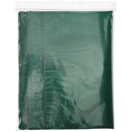 Plymor 9" x 12", Green 2 Mil Zipper Reclosable Plastic Bags {5}