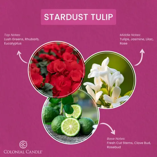 Stardust Tulip Scented Jar Candle, Pop of Color Collection, 3 Wick, 14.5 oz - Up to 60 Hours Burn {2}