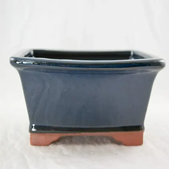 Rectangular Dark Blue Cactsu & Succulent, Bonsai Pot + Mesh - 8"x 6.25"x 3" {1}