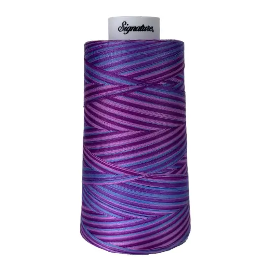 F155 Pansy Patch Signature Cotton Variegated Thread {1}