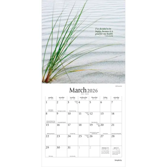 Simplicity | 2026 7 x 14 Inch (Hanging) Monthly Mini Wall Calendar {3}