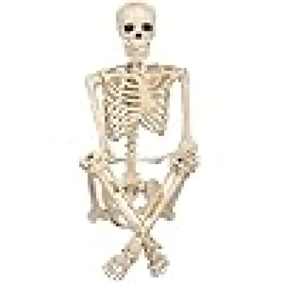 Realistic Posable and Movable Joints Halloween Decoration for Crazy Bonez Skeleton Line {1}