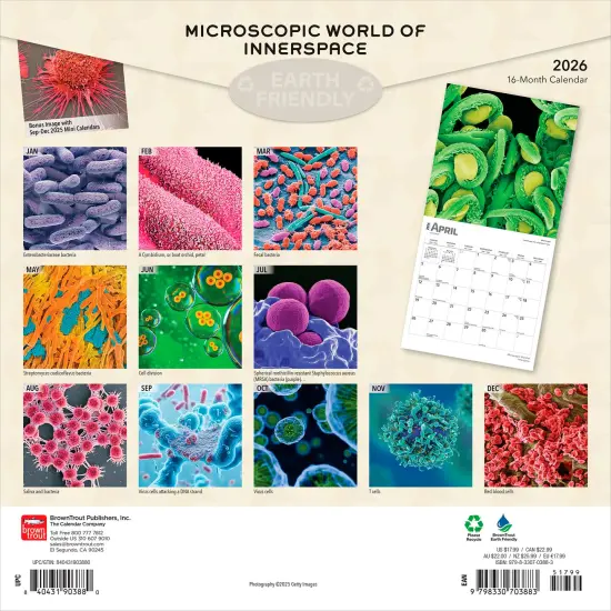 Microscopic World of Innerspace | 2026 12 x 24 Inch (Hanging) Monthly Square Wall Calendar | Plastic-Free {2}