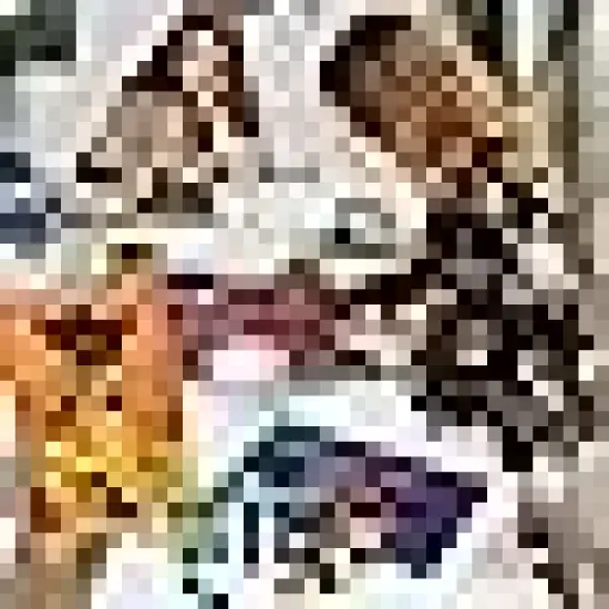 Pre Drawn Canvas for Painting DlY Acrylic Paint Set {4}