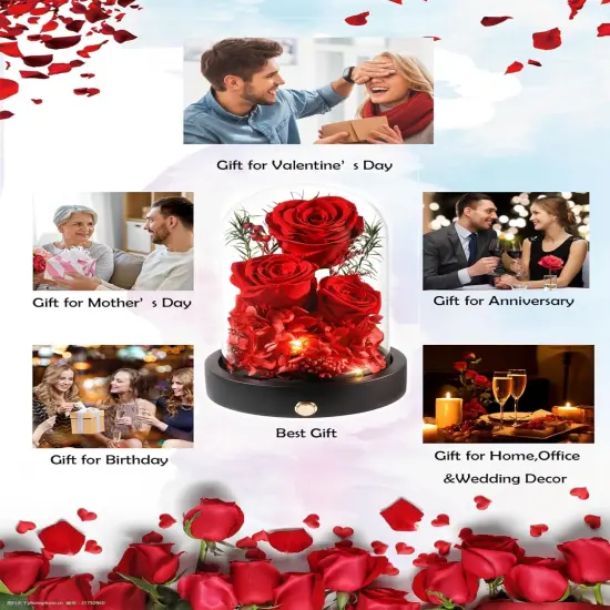 Preserved Rose in Glass Dome with LED Gifts for Her {4}