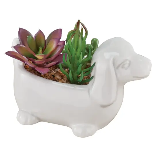 Collections Etc Faux Succulent Arrangement in White Ceramic Dachshund Pot {1}