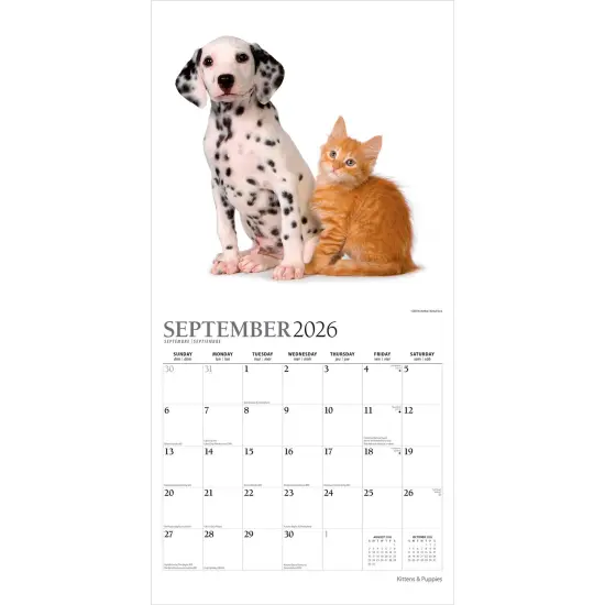 Kittens & Puppies | 2026 12 x 24 Inch (Hanging) Monthly Square Wall Calendar | Foil Stamped Cover {4}
