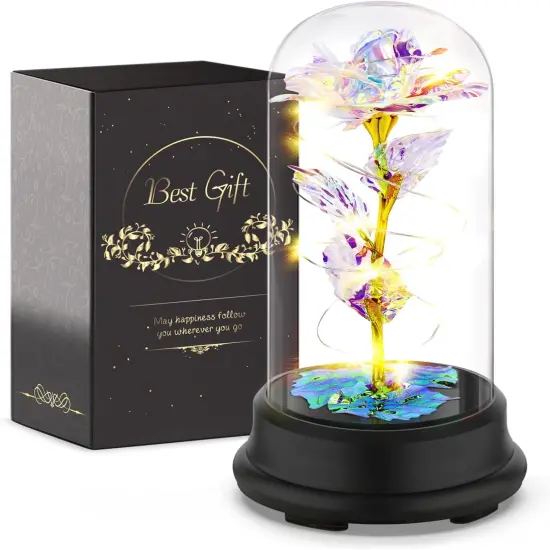 Preserved Flower Rose Gift in A Dome {1}