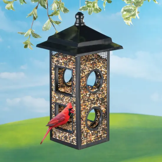 Collections Etc Black Metal Fly Through Hanging Bird Feeder {1}