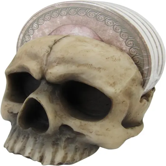 4 Piece Decorative Skull Holder with Drink Absorbent Coasters {1}