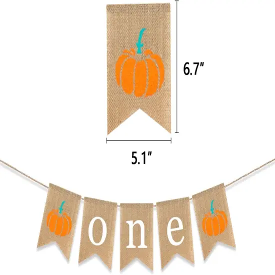 Pumpkin 1st Birthday Banner Autumn Fall First Party Decoration {2}