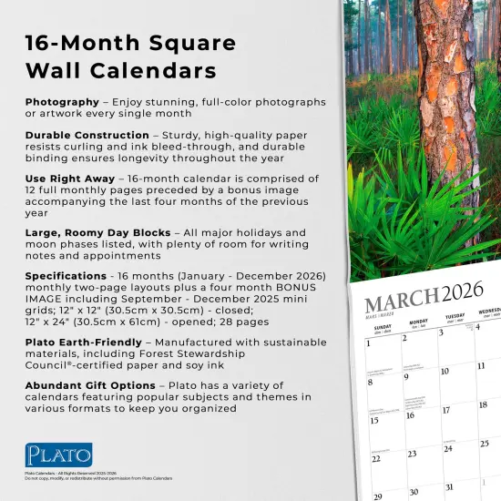 America's National Parks | 2026 12 x 24 Inch (Hanging) Monthly Square Wall Calendar | Foil Stamped Cover {6}