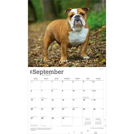 For the Love of Bulldogs | 2026 14 x 24 Inch (Hanging) Monthly Deluxe Wall Calendar | Foil Stamped Cover | Plastic-Free {4}