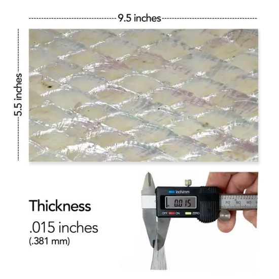 Shell Veneer, 5.5 x 9.5 inches | WMOP, BMOP, Abalone | Includes 3M Adhesive Sheet for Application, Great for Inlay Projects Pearl Natural {2}