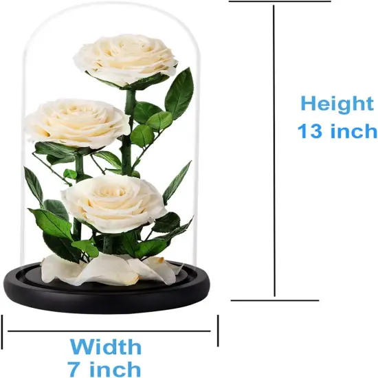White Roses Handmade Preserved Real Rose in Glass Dome, Long Lasting Roses Never Withered, Birthday Gifts for Women (13 inch) {4}