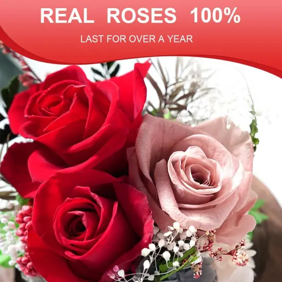 Preserved Flowers in Glass Dome, Long-Lasting Eternal Roses Birthday Gifts for Women Mom Grandma Wife Girlfriend Forever Flowers for Delivery Prime {2}