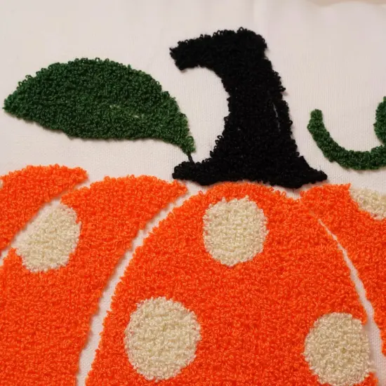 illow Covers 18x18 inch Set of 2 Orange Pumpkin Throw Pillow for Farmhouse {3}