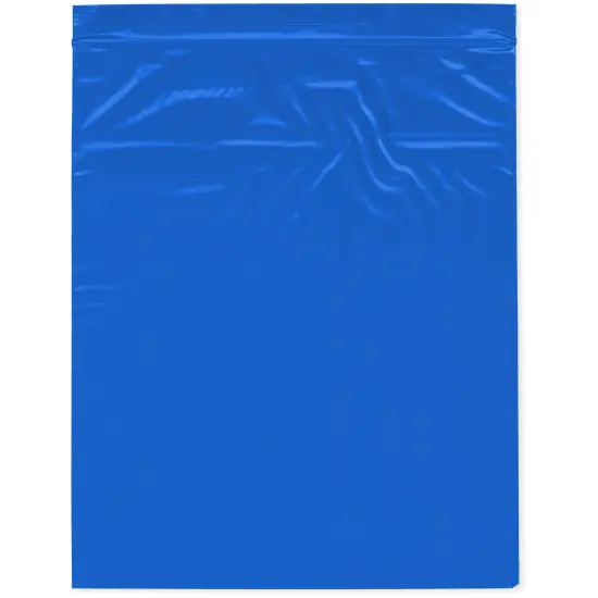 Plymor 10" x 12", Blue 2 Mil Zipper Reclosable Plastic Bags {1}