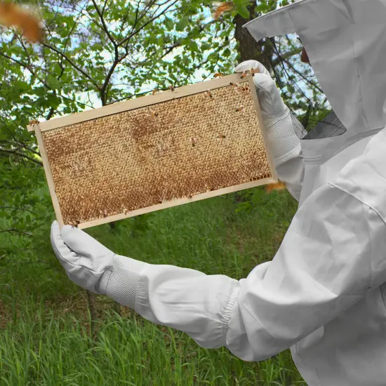 Honey Keeper Beehive 10 Deep Frame Kit with Foundations for Replacement Langstroth Beekeeping {5}