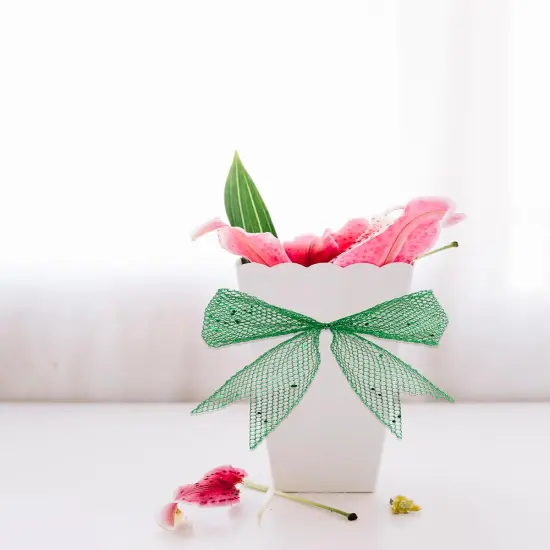 Green Glitter Mesh Ribbon for Gift Wrapping Bow Making Green Web Mesh Wired Mesh Ribbon {2}