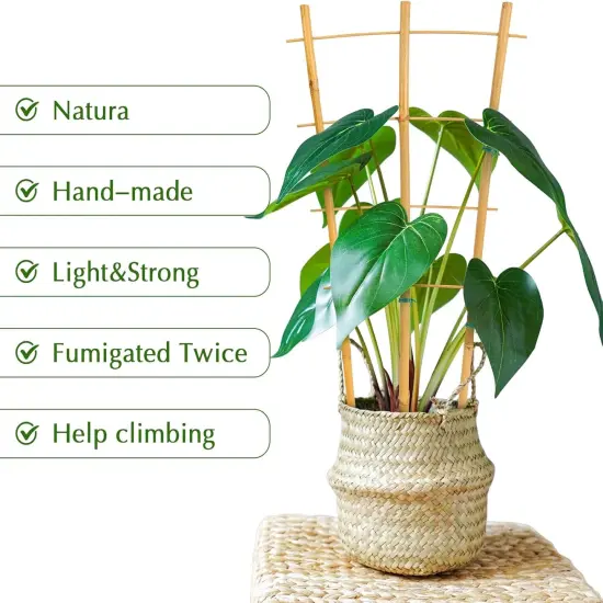24pack 16 Inch Small Plant Wood Bamboo Trellis for Climbing Plants Indoor Potted Plants {5}