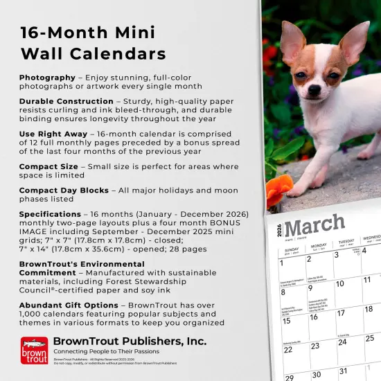 Chihuahua Puppies | 2026 7 x 14 Inch (Hanging) Monthly Mini Wall Calendar {6}