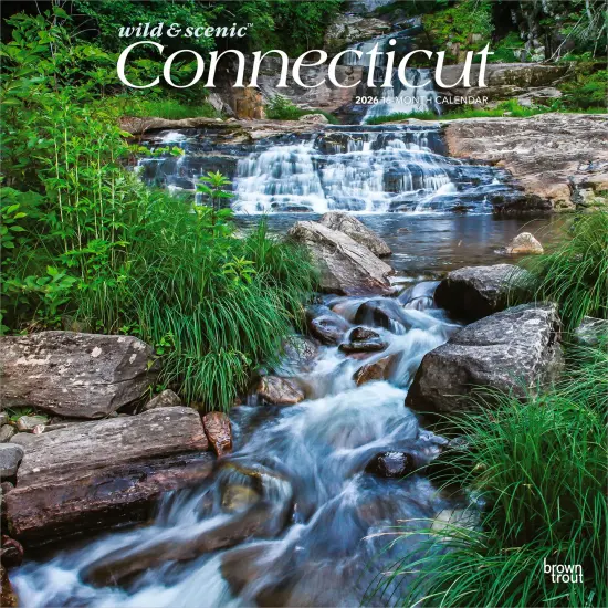 Connecticut Wild & Scenic | 2026 12 x 24 Inch (Hanging) Monthly Square Wall Calendar | Plastic-Free {1}