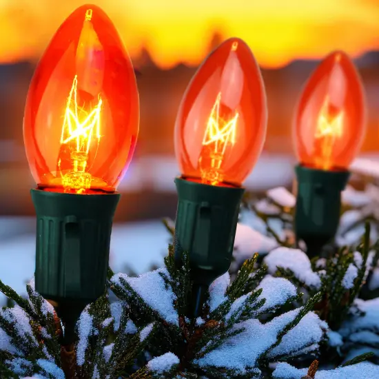 Northlight Transparent C9 Christmas String Lights - Orange - 24' Green Wire - 25ct {3}