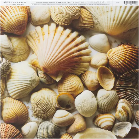 American Crafts Everyday Single-Sided Cardstock 12"X12"-Shells Print {1}