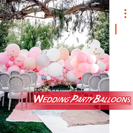 Pink Balloon Arch Kit 111Pcs (Pink) {5}